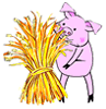 Lazy Pig with straw